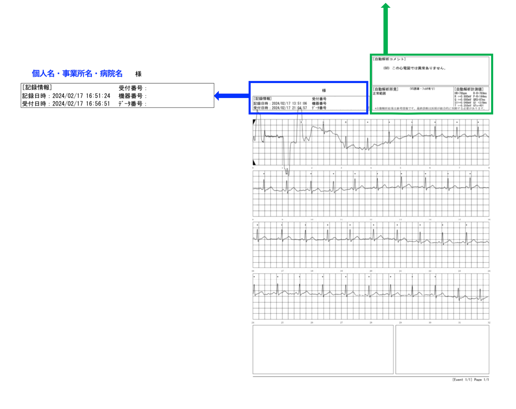 解析結果データ(見本拡大2)