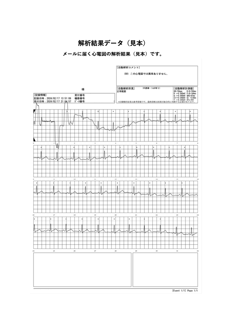 解析結果（見本）
