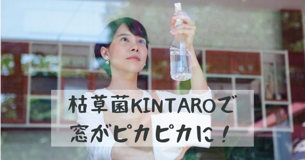 女性が枯草菌で窓を掃除している様子